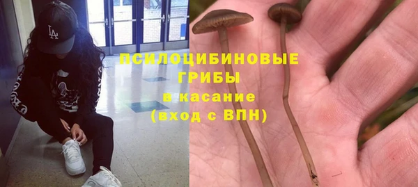 каннабис Баксан