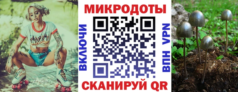 Галлюциногенные грибы GOLDEN TEACHER закладка Тобольск